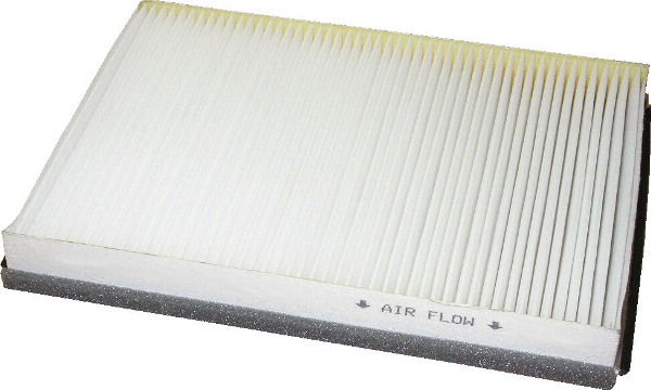 Filter, cabin air (17179)