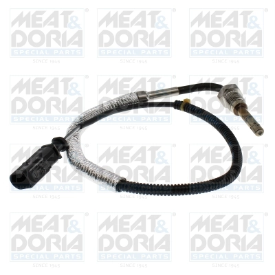 Sensor, exhaust gas temperature (12578)