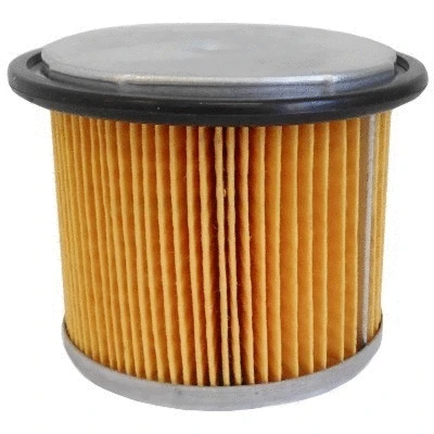 Fuel Filter (4141)