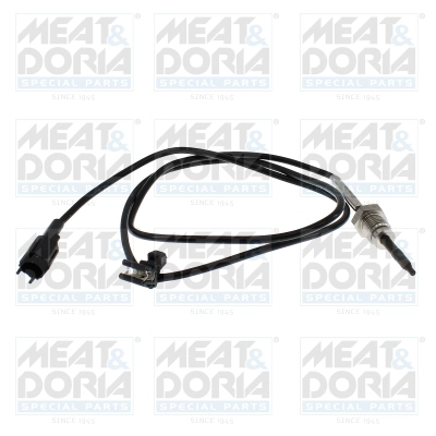 Sensor, exhaust gas temperature (12619)