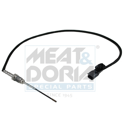 Sensor, exhaust gas temperature (12180E)