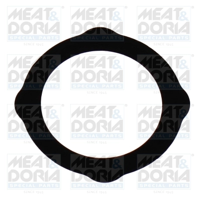 Gasket, EGR valve (016233)