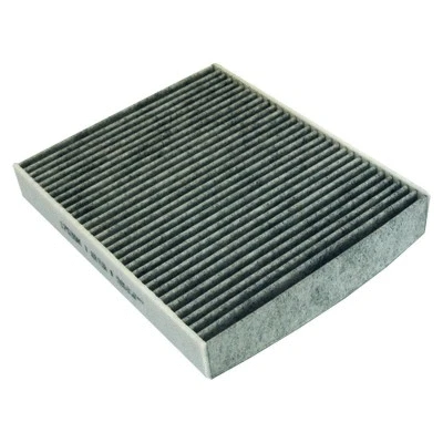 Filter, cabin air (17539K)