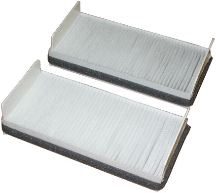 Filter, cabin air (17168F-X2)
