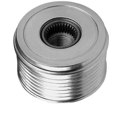 Alternator Freewheel Clutch (45019)