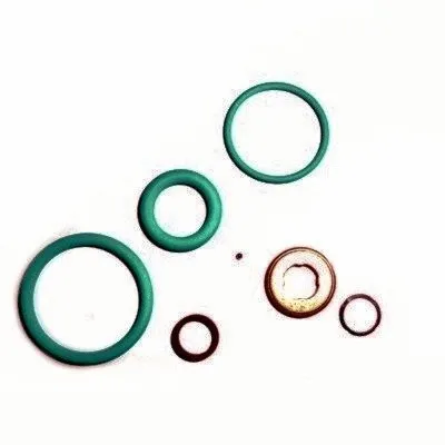 Repair Kit, injection nozzle (9555)