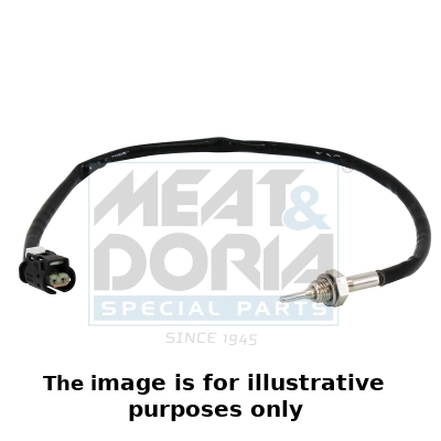 Sensor, exhaust gas temperature (12444E)