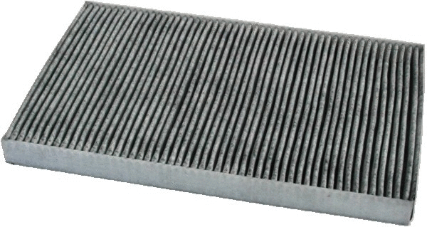 Filter, cabin air (17206K)