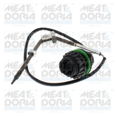 Sensor, exhaust gas temperature (12652)
