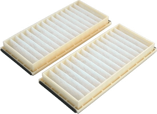 Filter, cabin air (17339F-X2)