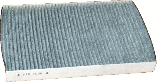 Filter, cabin air (17086K)