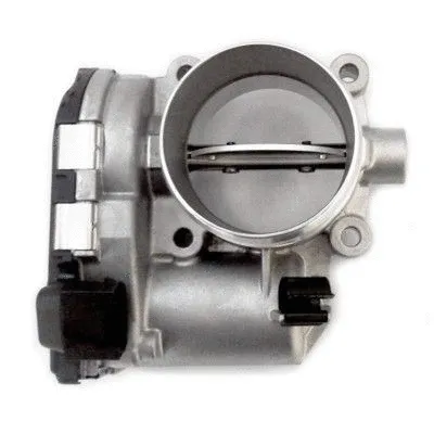 Throttle Body (89307)