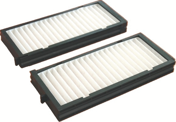 Filter, cabin air (17469F-X2)