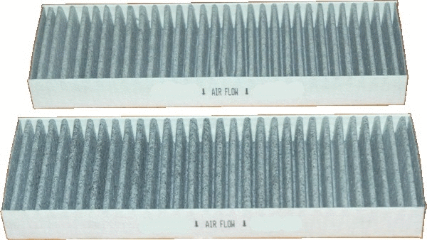 Filter, cabin air (17407K-X2)