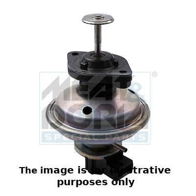 EGR Valve (88195R)
