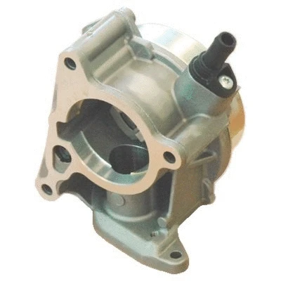 Vacuum Pump, braking system (91102)