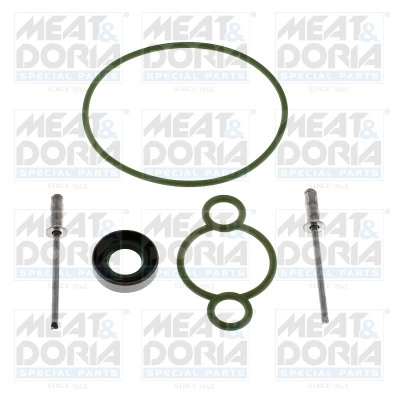 Repair Kit, common rail system (98777)