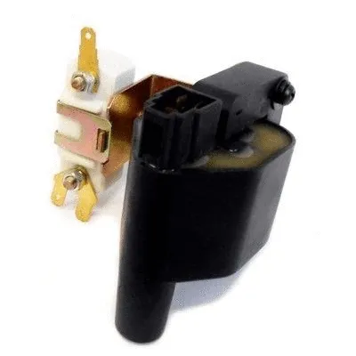 Ignition Coil (10434)