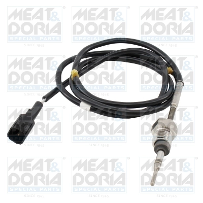 Sensor, exhaust gas temperature (12674)