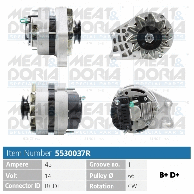 Alternator (5530037R)