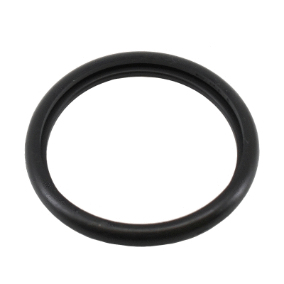 Seal, thermostat (01670)