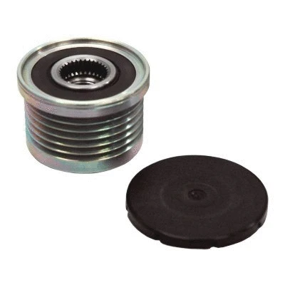 Alternator Freewheel Clutch (45024)