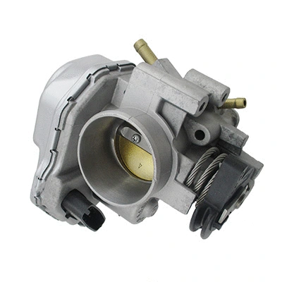 Throttle Body (89036)