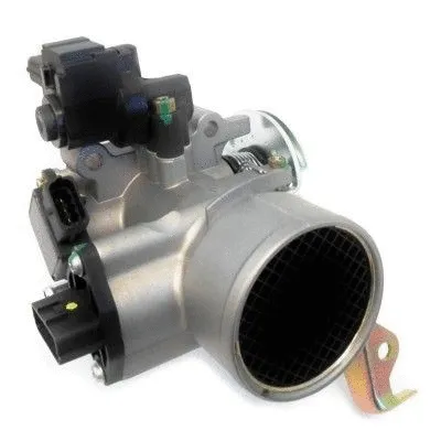 Throttle Body (89199)