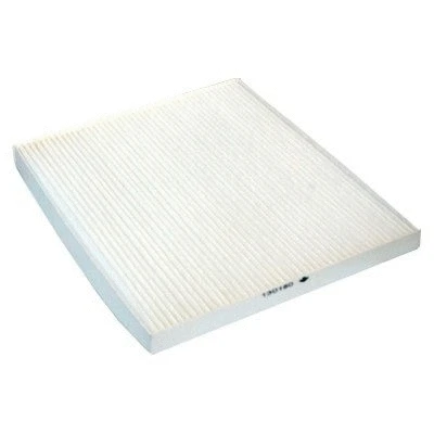 Filter, cabin air (17513)
