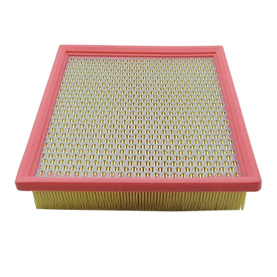 Air Filter (18599)