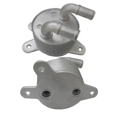 Oil Cooler, engine oil (95178)