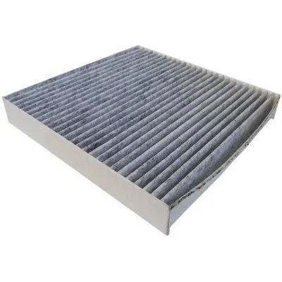 Filter, cabin air (17541K)