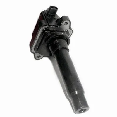 Ignition Coil (10788)