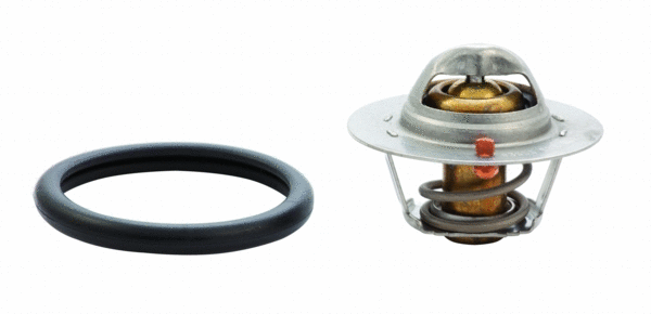 Thermostat, coolant (92407)