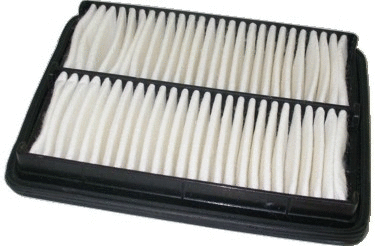 Air Filter (16068)