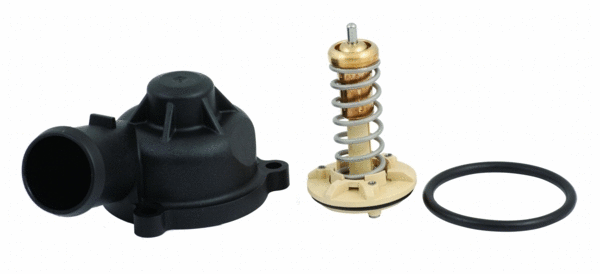 Thermostat, coolant (92618K)