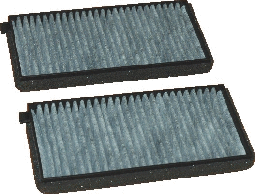 Filter, cabin air (17424FK-X2)