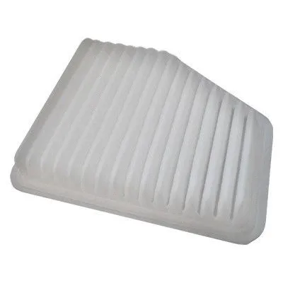 Air Filter (16019)