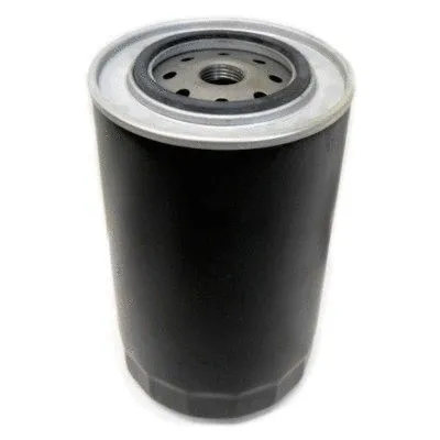 Fuel Filter (4261)