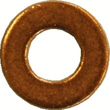 Seal Ring, nozzle holder (9166)