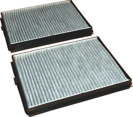 Filter, cabin air (17153FK-X2)