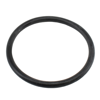 Seal, thermostat (01661)