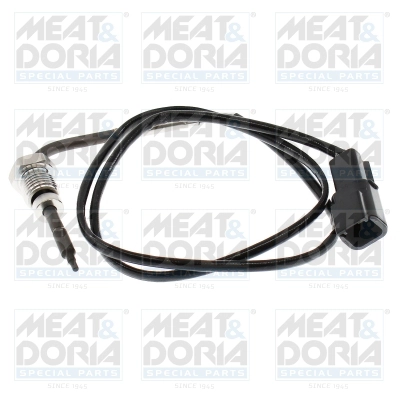 Sensor, exhaust gas temperature (12745)