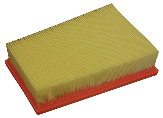 Air Filter (18366)