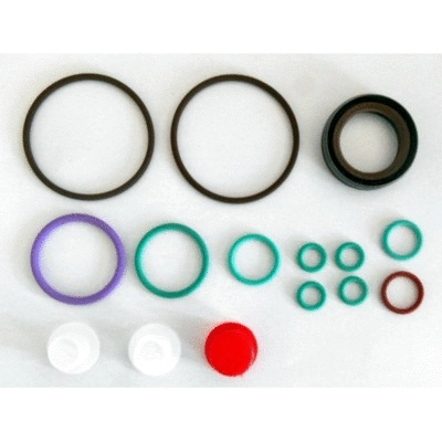 Repair Kit, fuel pump (9516)