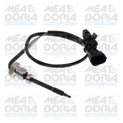 Sensor, exhaust gas temperature (12775)