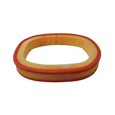 Air Filter (16643)