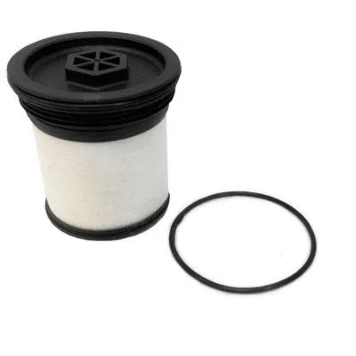 Fuel Filter (5065)