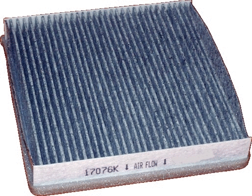 Filter, cabin air (17076K)