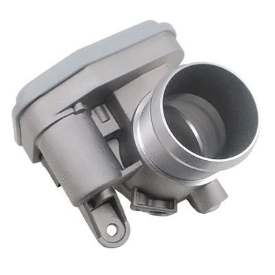 Throttle Body (89123E)